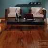 716461443 empiri dvouvrstve prkno tigerwood 100x100 Dvouvrstvá prkna